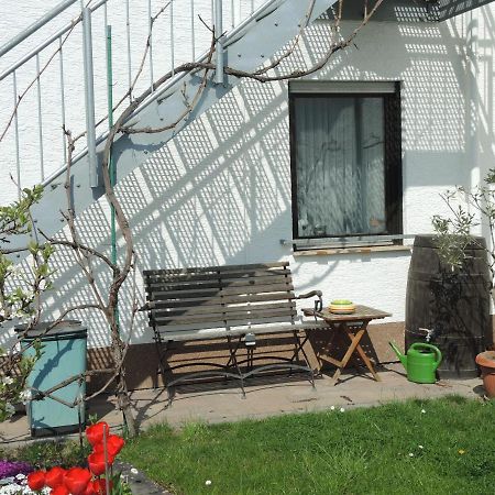 Apartement Am Kirschbaum Mommenheim ภายนอก รูปภาพ