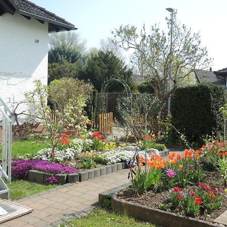 Apartement Am Kirschbaum Mommenheim ภายนอก รูปภาพ