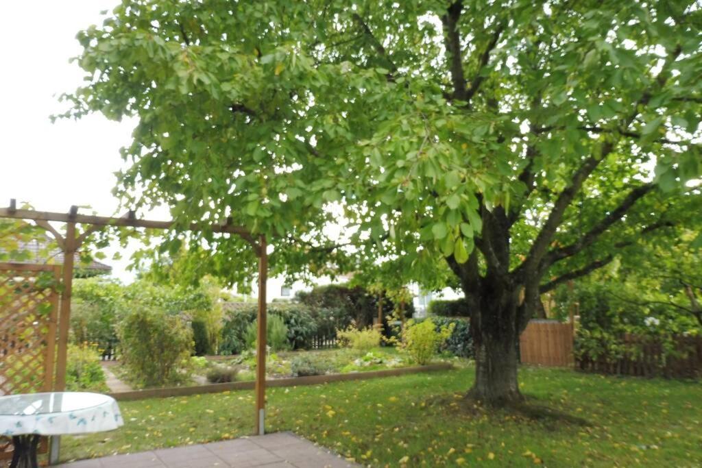 Apartement Am Kirschbaum Mommenheim ภายนอก รูปภาพ