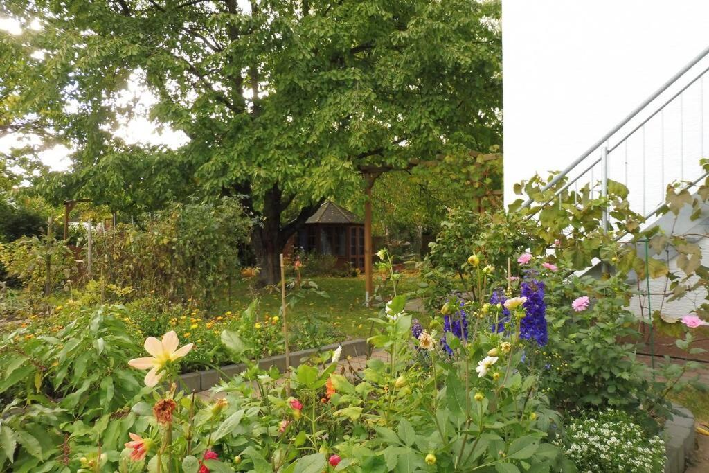 Apartement Am Kirschbaum Mommenheim ภายนอก รูปภาพ