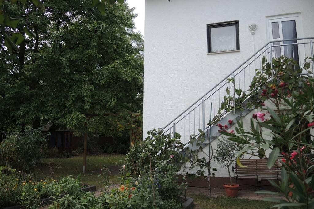 Apartement Am Kirschbaum Mommenheim ภายนอก รูปภาพ