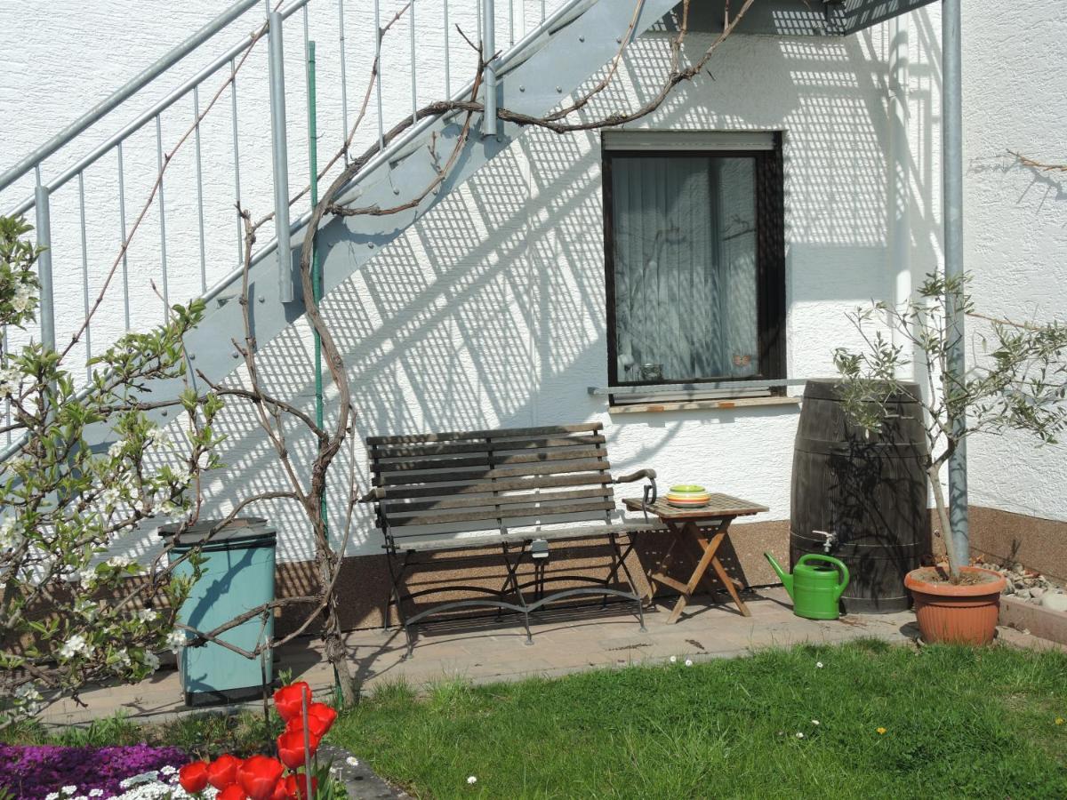 Apartement Am Kirschbaum Mommenheim ภายนอก รูปภาพ