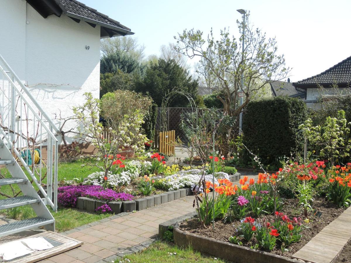 Apartement Am Kirschbaum Mommenheim ภายนอก รูปภาพ